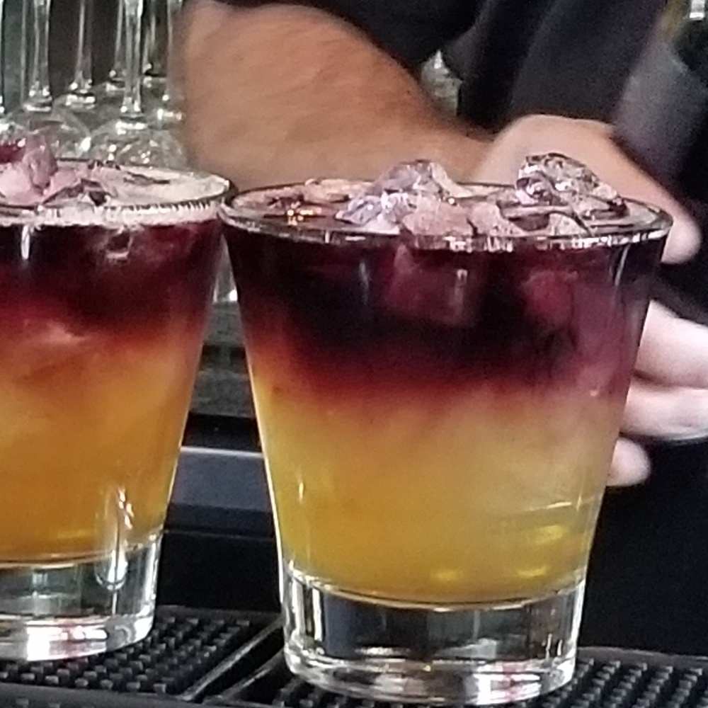 Meet your Posher, Rose